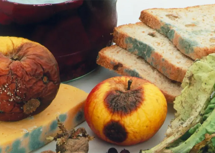 上海清關速食飯報廢處理企業2022已更新(今日/資訊)