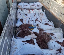 案例|某公司海關產品銷毀