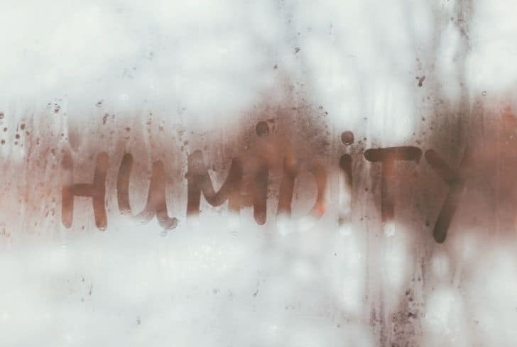 潮濕是如何造成空氣污染的？